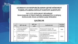 'Öz adamlarına pul paylayırlar' - Hökumətyönlü QHT-lərə ayrılan pulların aqibəti