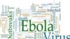 Полгода нужно на то, чтобы взять под контроль эпидемию лихорадки Эбола