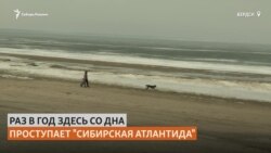 Прогулка по дну моря. "Сибирская Атлантида" в Бердске