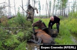 На летнем маршруте возле Шевыкана Чалого затянуло в болото