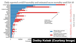 Сравнительные данные избыточной смертности и официальной статистики ковидных смертей по странам мира