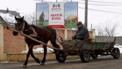 Тема недели: Страх и отвращение в Европе