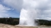 Горячий гейзер в национальном парке Йелоустоун (Yellowstone National Park). При температуре 60 градусов на раскаленной почве рядом с гейзером растет трава. Эта трава заражена специальным вирусом. Именно этот вирус делает растение термостойким.