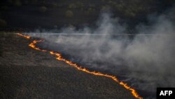 У папярэднія гады ў Чарнобыльскай зоне неаднаразова ўспыхвалі пажары, да тушэньня якіх прыцягвалі авіяцыю (фота архіўнае)