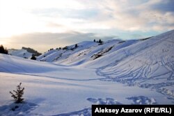 Көкжайлау. Алматы маңы, 18 ақпан 2013 жыл. (Көрнекі сурет)