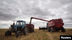 Ақмола облысындағы ауылдардың біріндегі егін ору науқаны. 2013 жыл. (Көрнекі сурет)