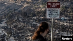 Wildfires in Los Angeles